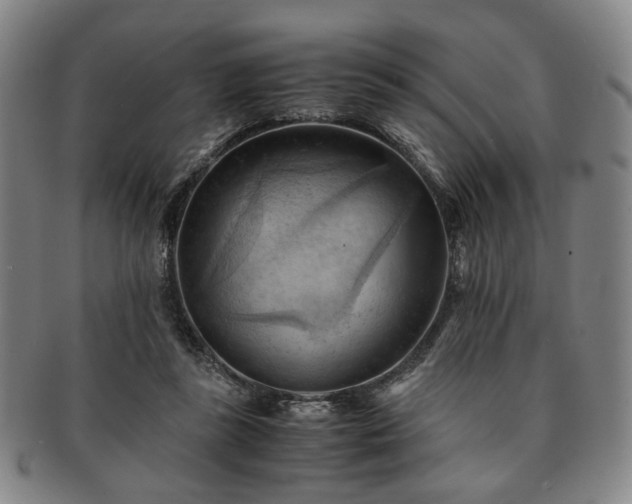 X0000091570355200708271204