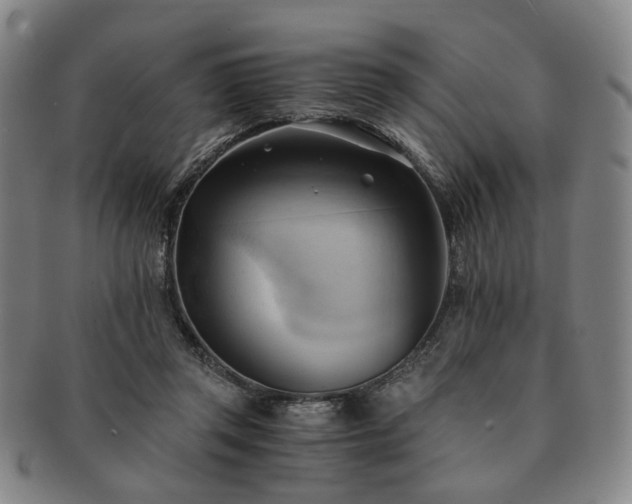 X0000091570357200708271204