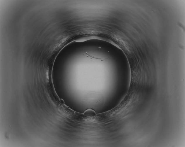 X0000091570358200708271204