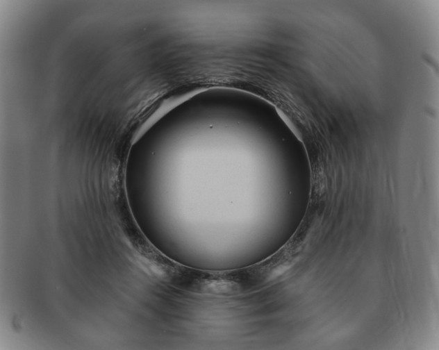 X0000091570360200708271204