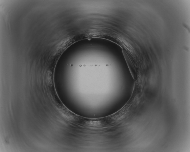 X0000091570361200708271204