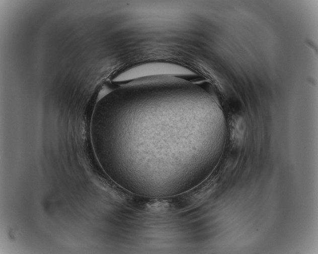 X0000091570362200708271204