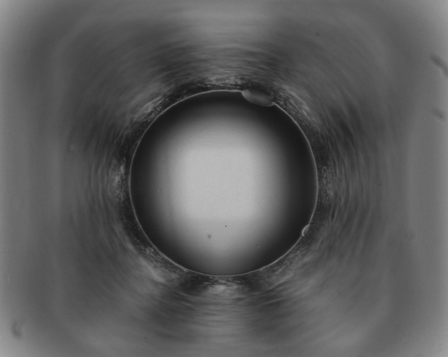 X0000091570364200708271204