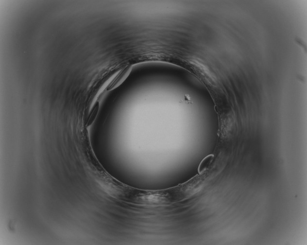X0000091570365200708271204