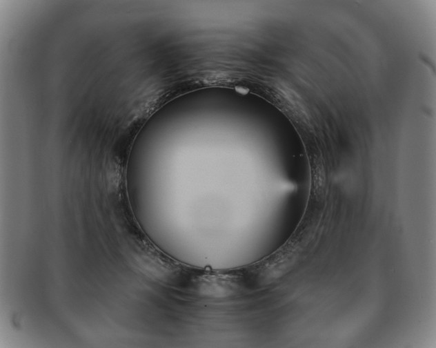 X0000091570367200708271204