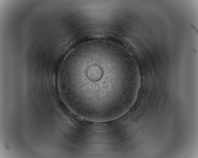 X0000091570368200708271204