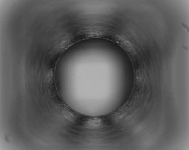 X0000091570369200708271204