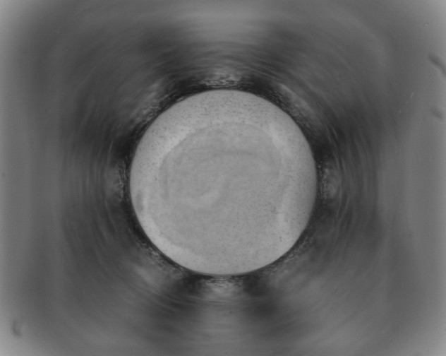 X0000091570370200708271204