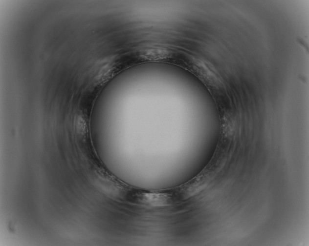 X0000091570371200708271204