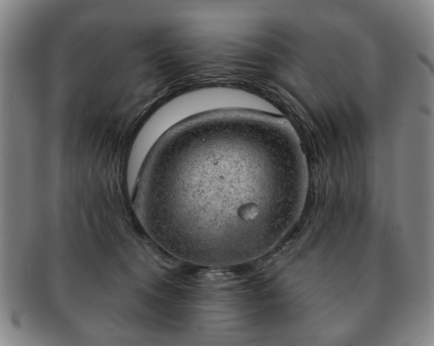 X0000091570372200708271204