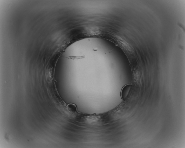 X0000091570373200708271204