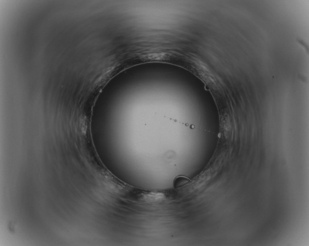 X0000091570374200708271204