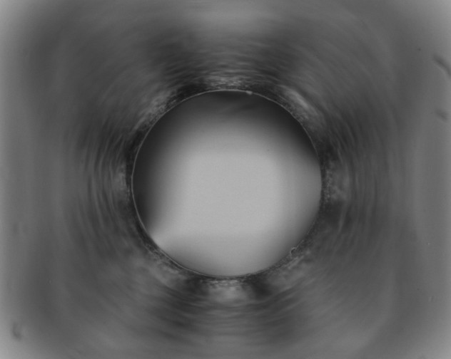 X0000091570377200708271204