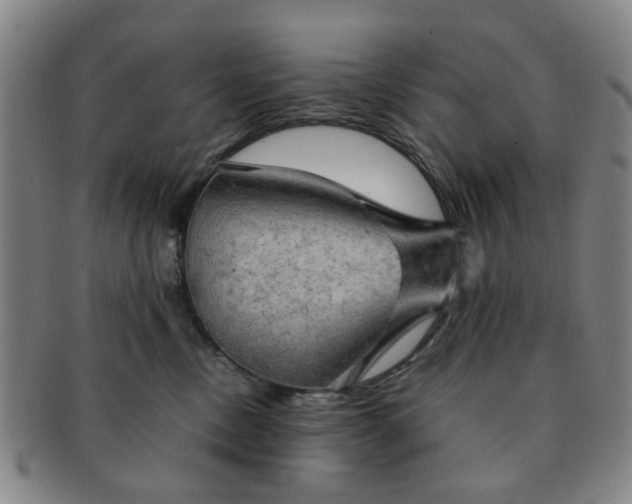 X0000091570378200708271204