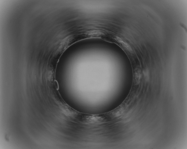 X0000091570379200708271204