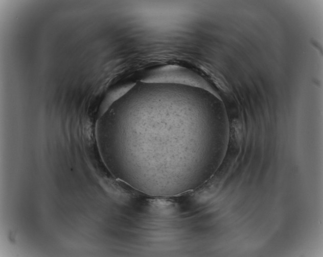 X0000091570380200708271204