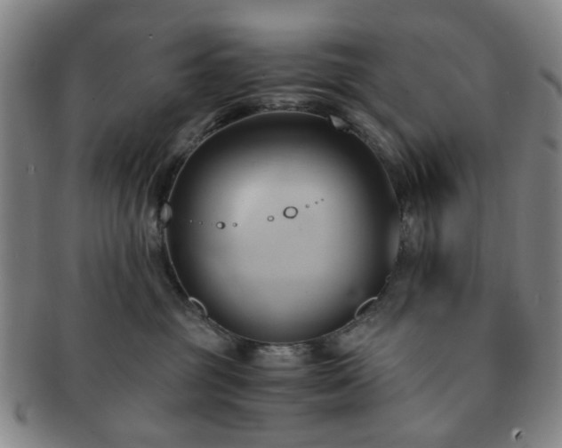 X0000091570381200708271204