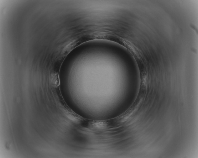 X0000091570383200708271204