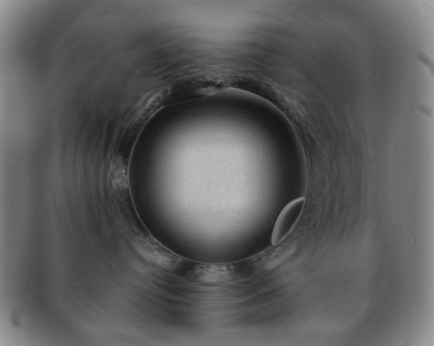 X0000091570384200708271204