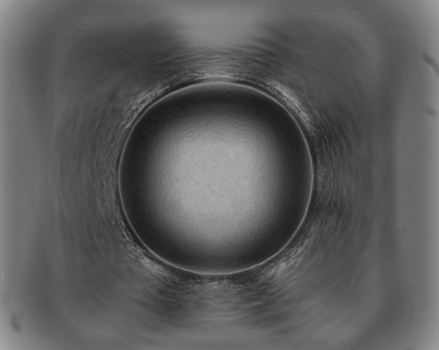 X0000091570385200708271203