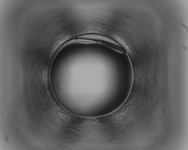 X0000091570386200708271203