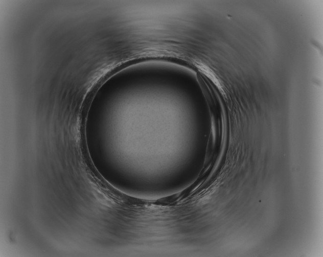 X0000091570387200708271203