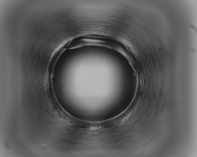 X0000091570388200708271203