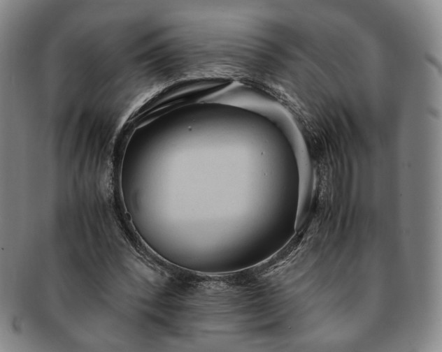 X0000091570392200708271203