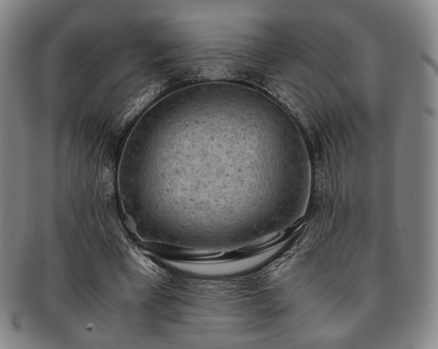 X0000091570393200708271203