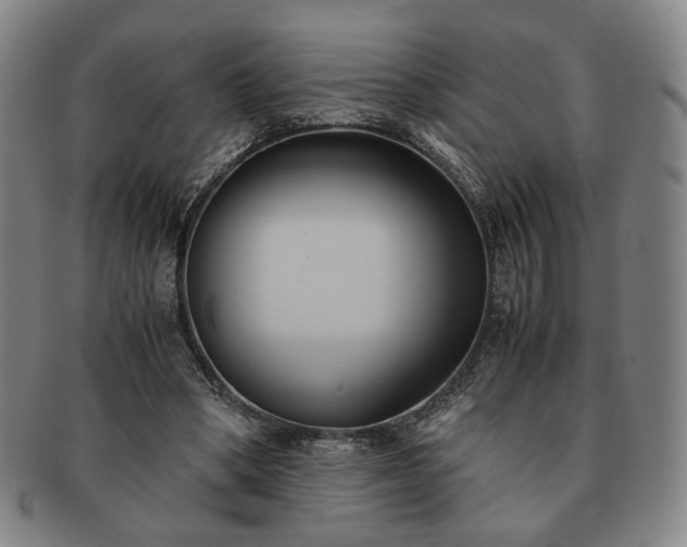 X0000091570394200708271203