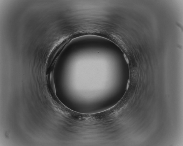X0000091570395200708271203