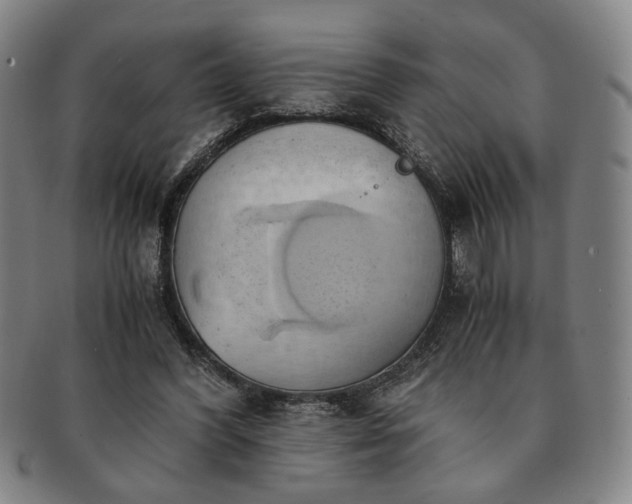 X0000091570396200708271203
