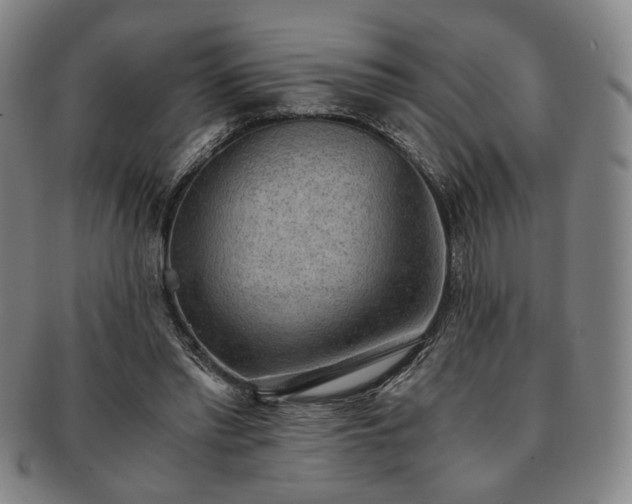 X0000091570397200708271203