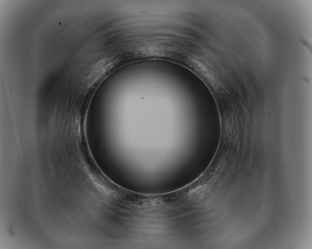 X0000091570398200708271203
