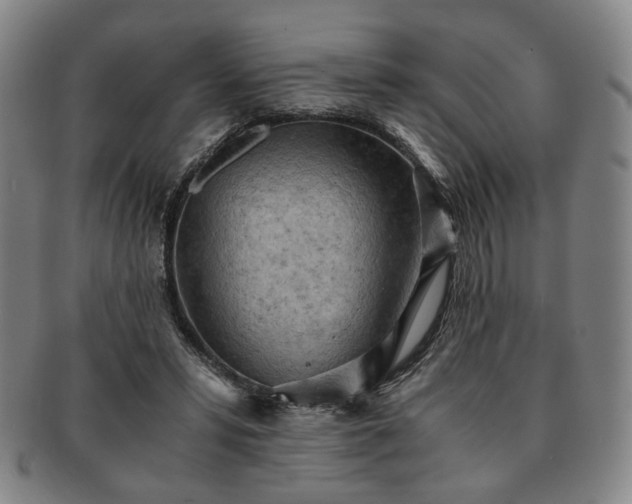 X0000091570399200708271203