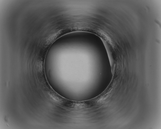 X0000091570401200708271203