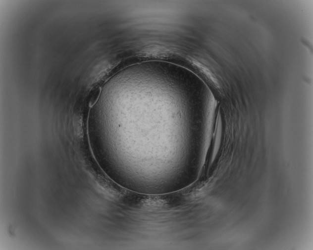 X0000091570403200708271203