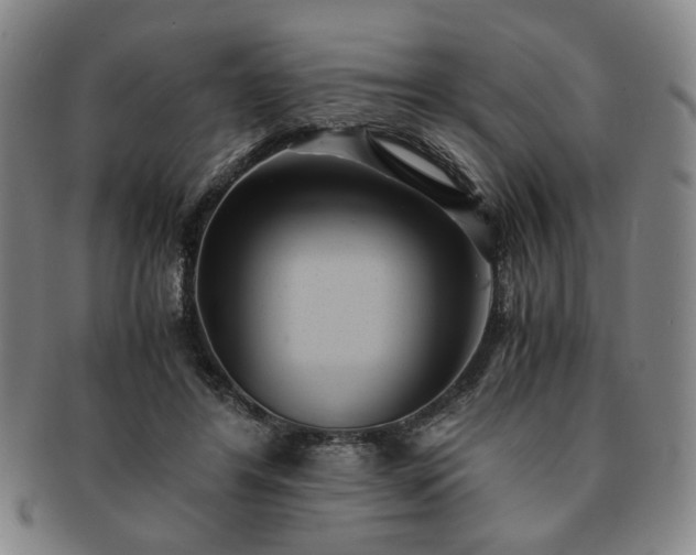 X0000091570404200708271203