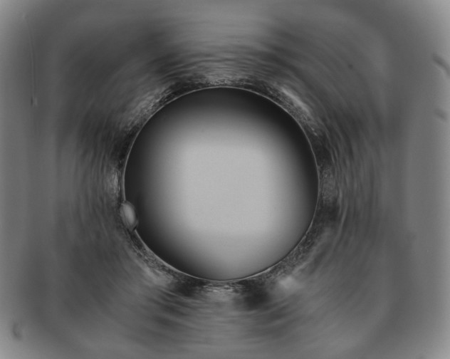 X0000091570405200708271203