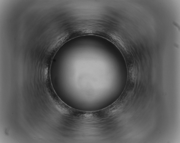 X0000091570406200708271203