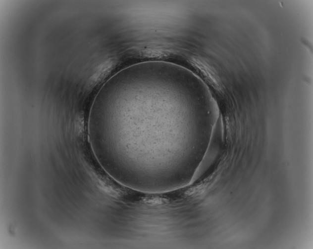 X0000091570407200708271203