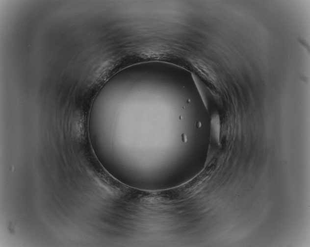 X0000091570408200708271203