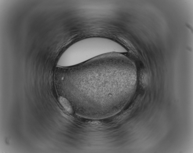 X0000091570409200708271203