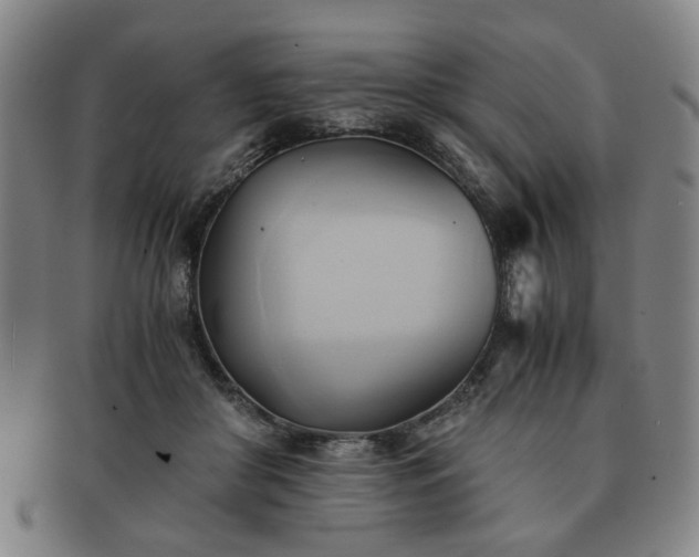X0000091570410200708271203