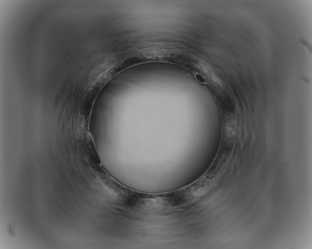 X0000091570411200708271203