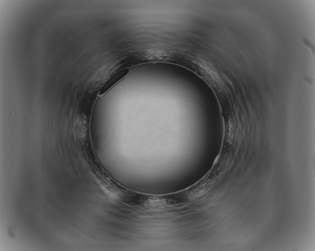 X0000091570413200708271203