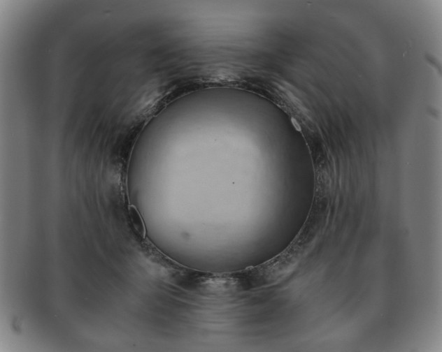 X0000091570415200708271203