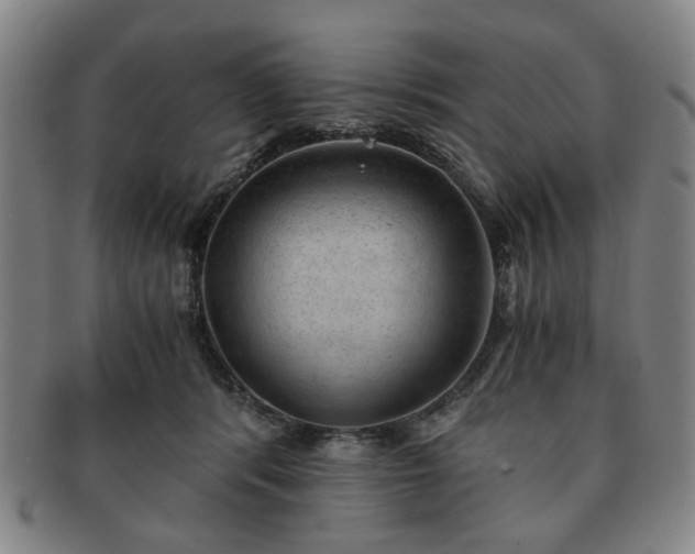X0000091570416200708271203