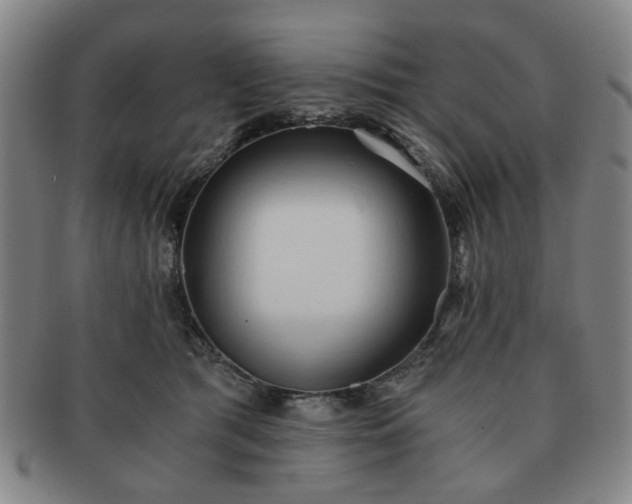 X0000091570417200708271203