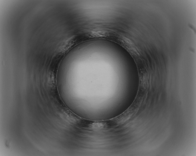 X0000091570418200708271203